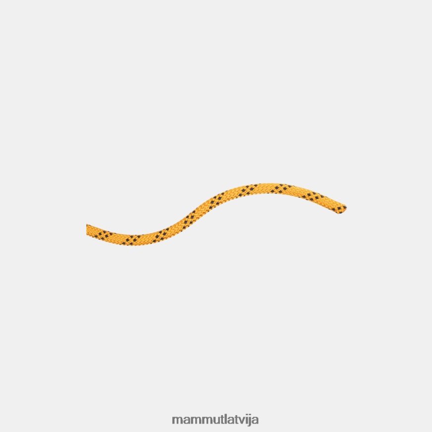 iekārtas Mammut 10.0 statiskā veiktspēja dzeltenmelns unisex 2TN48T1414