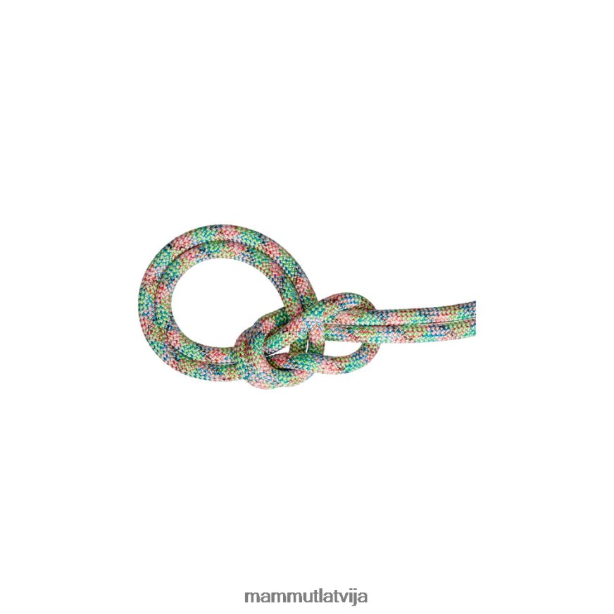iekārtas Mammut 9,5 klints we care sausa virve stiepļu vārti, asorti unisex 2TN48T387