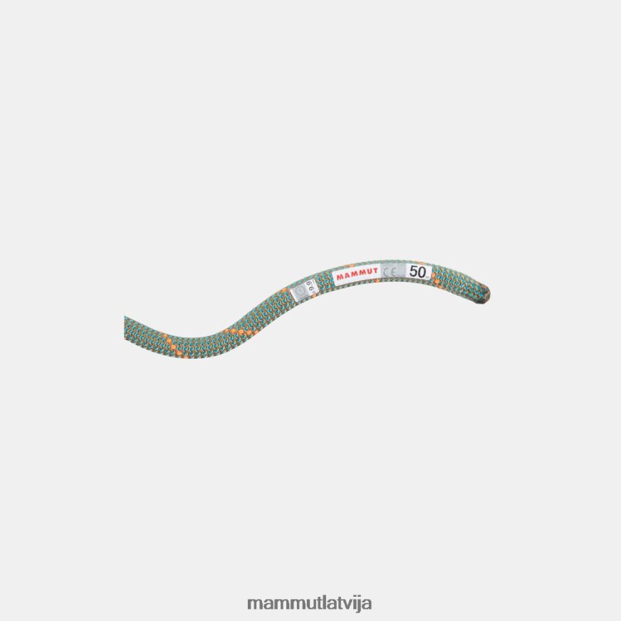 iekārtas Mammut 9,9 klinšu darba zirga sausa virve boa-okeāns unisex 2TN48T484